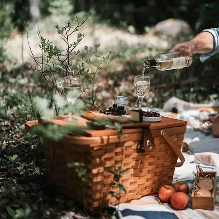 Reet Am Rhein - Obere Hälfte Apartment