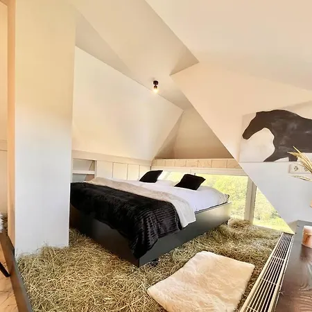 Reet Am Rhein - Obere Hälfte Apartment Boppard