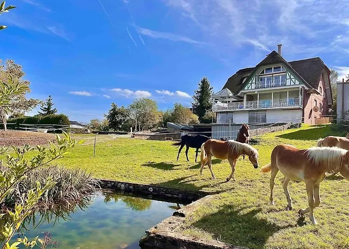Apartment Reet Am Rhein - Obere Hälfte Boppard